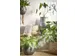 Panier plante Mica Jonc de mer Avalon rond marron clair 26x26cm