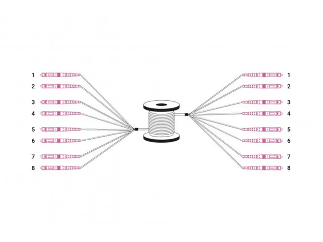 Glasvezel Breakoutkabel 8 vezels OM4 LC/UPC-LC/UPC universeel 30m